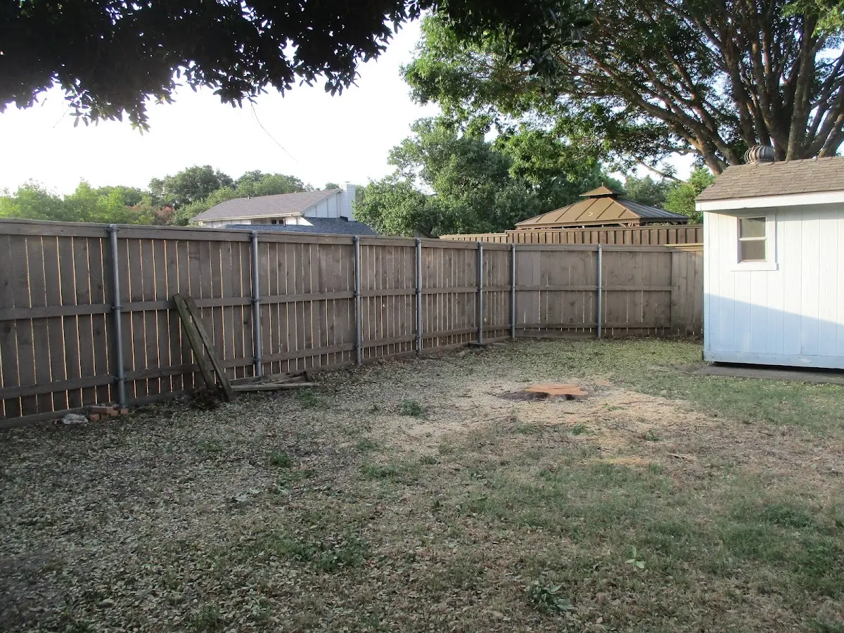 Cleared yard after professional tree removal in Swifton