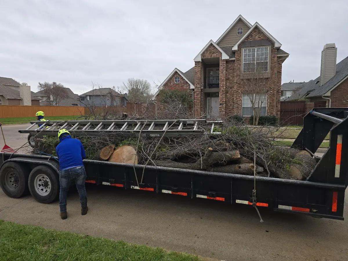 Expert Tree Fertilization with proper safety equipment in Swifton
